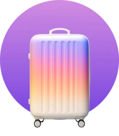 Picture for category Luggage